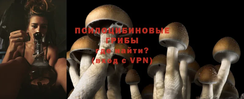 купить наркотики сайты  блэк спрут ссылка  Галлюциногенные грибы Cubensis  Удомля 